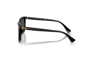 Vista lateral Polo PH4220U (500187)