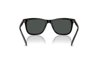 Vista posterior Polo PH4220U (500187)