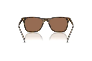 [glasses-back-view] Polo PH4220U (562573)