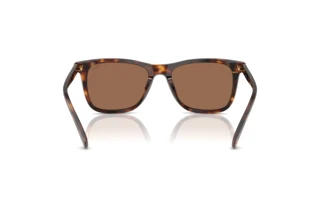 Vista posterior Polo PH4220U (613773)