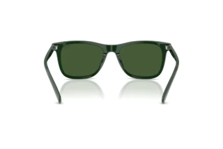 Vista posterior Polo PH4220U (614071)