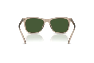 Πίσω όψη Polo PH4220U (620171)