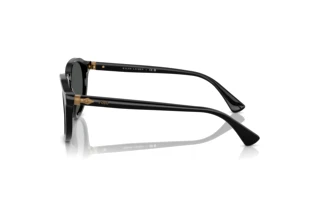 Vista lateral Polo PH4221 (500187)