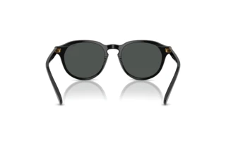 Vista posterior Polo PH4221 (500187)