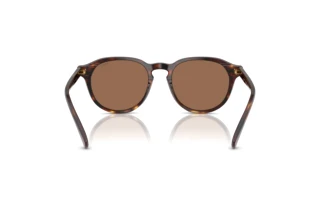 Vista posterior Polo PH4221 (613773)