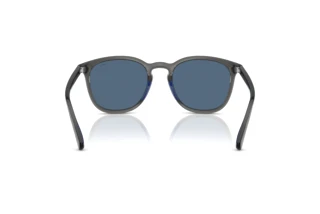 Vy bakifrån Polo PH4222U (579980)