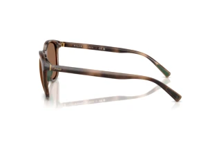 Vista lateral Polo PH4222U (597473)