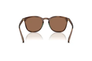 Vista posterior Polo PH4222U (597473)