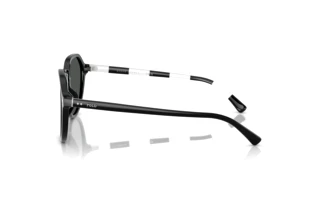 [glasses-side-view] Polo PH4223U (500187)