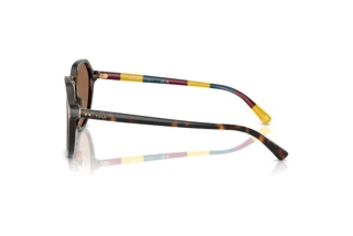 [glasses-side-view] Polo PH4223U (621273)