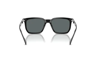 [glasses-back-view] Polo PH4224U (500181)