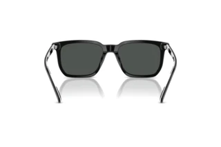 [glasses-back-view] Polo PH4224U (500187)