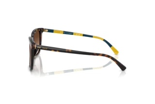 Vista lateral Polo PH4224U (500313)