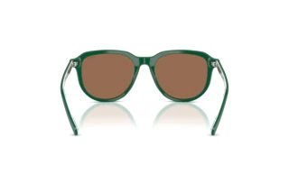 Πίσω όψη Polo PH4225 (542173)