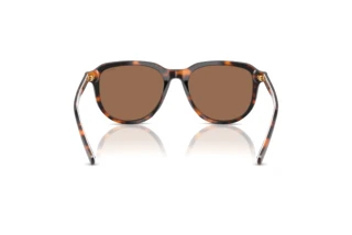 Vista posterior Polo PH4225 (613773)