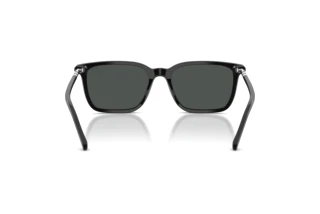 Vista posterior Polo PH4226 (500187)