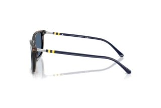 [glasses-side-view] Polo PH4226 (500380)