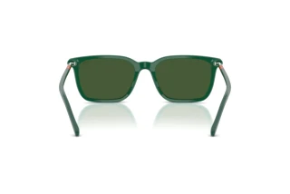 [glasses-back-view] Polo PH4226 (542171)