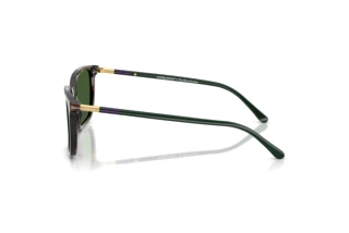 [glasses-side-view] Polo PH4226 (567371)