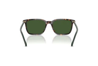 [glasses-back-view] Polo PH4226 (567371)