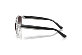 [glasses-side-view] Polo PH4229U (58698G)