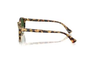 [glasses-side-view] Polo PH4230 (500471)