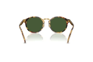 [glasses-back-view] Polo PH4230 (500471)