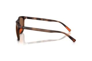 [glasses-side-view] Polo PH4231U (597473)