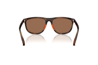 [glasses-back-view] Polo PH4231U (597473)
