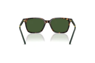 [glasses-back-view] Polo PH4235U (500371)