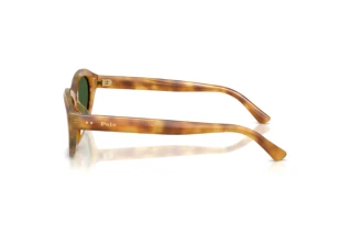 Sidovy Polo PH4237U (618571)