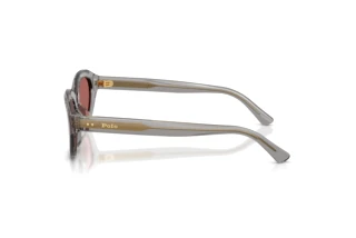 [glasses-side-view] Polo PH4237U (631869)