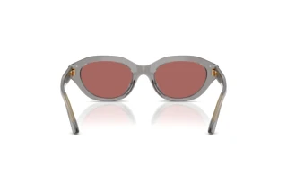[glasses-back-view] Polo PH4237U (631869)
