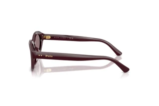 [glasses-side-view] Polo PH4237U (63547N)