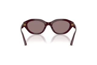 [glasses-back-view] Polo PH4237U (63547N)