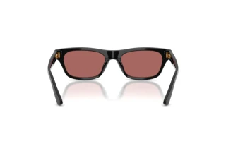 [glasses-back-view] Polo PH4238U (500169)