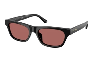 [glasses-front-view] Polo PH4238U (500169)
