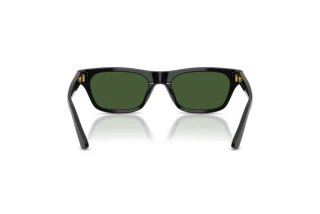 [glasses-back-view] Polo PH4238U (500171)