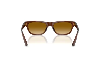 [glasses-back-view] Polo PH4238U (63532L)