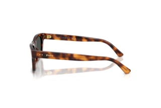 [glasses-side-view] Polo PH4238U (635587)
