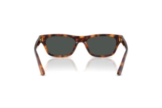 [glasses-back-view] Polo PH4238U (635587)