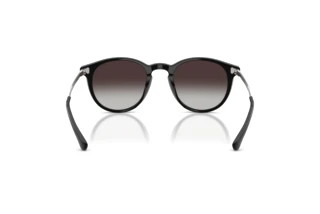 [glasses-back-view] Polo PH4239U (50018G)