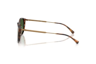 [glasses-side-view] Polo PH4239U (500371)