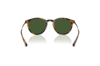 [glasses-back-view] Polo PH4239U (500371)