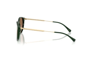 [glasses-side-view] Polo PH4239U (614073)