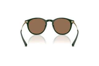 [glasses-back-view] Polo PH4239U (614073)