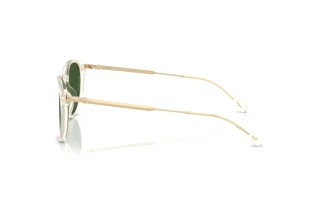 [glasses-side-view] Polo PH4239U (635771)