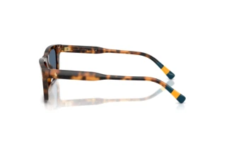 [glasses-side-view] Polo PH4240U (608980)