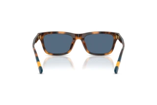 [glasses-back-view] Polo PH4240U (608980)