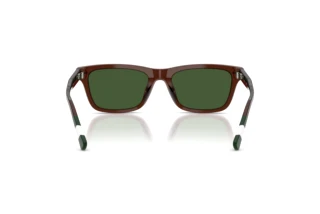 [glasses-back-view] Polo PH4240U (631571)